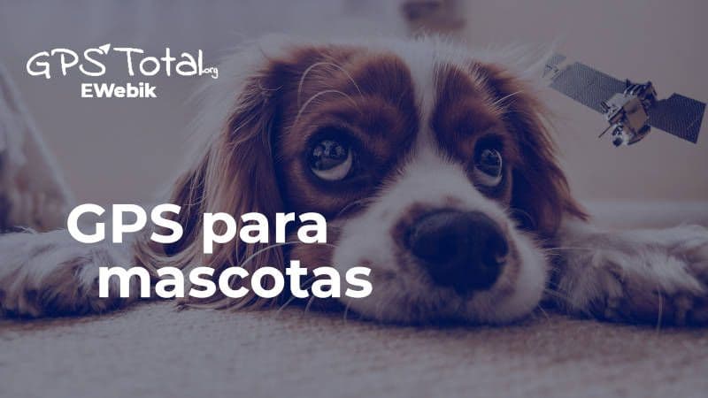 Los mejores GPS para mascotas