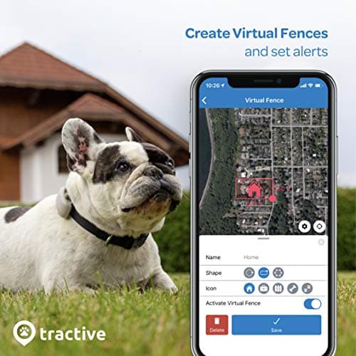 Tractive LTE GPS Dog Tracker - Location & Activity Tracker for Dogs with Unlimited Range (Newest Model), Beige (TRNJA4)