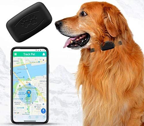 NACRL Pet GPS Tracker, No Monthly Fee, Free App, Real-Time Tracking Collar Device, APP Control, Location Tracking Collar for Dogs, Cats, Waterproof, Small, Lightweight (35 g), U.S. Nationwide Coverage