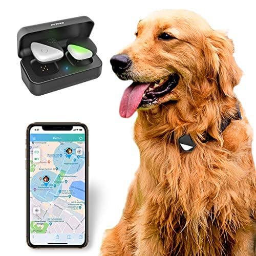 PetFon Pet GPS Tracker, No Monthly Fee, Real-Time Tracking Collar Device, APP Control for Dogs and Pets Activity Monitor(Only for Dog)