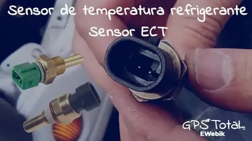 Sensor de temperatura ECT