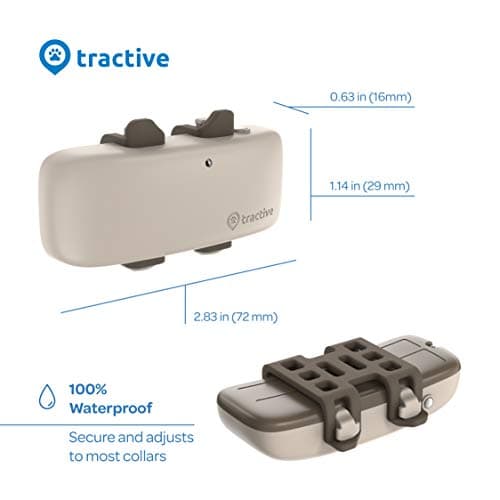 Tractive LTE GPS Dog Tracker - Location & Activity Tracker for Dogs with Unlimited Range (Newest Model), Beige (TRNJA4)